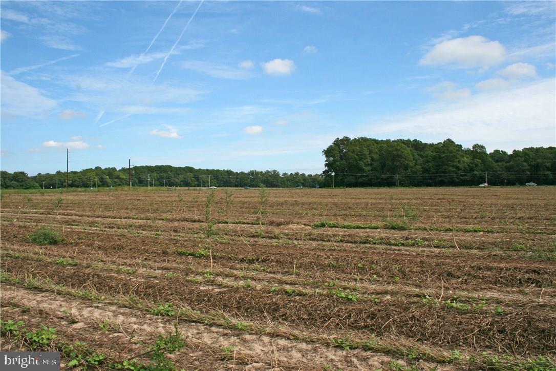 NONE AVAILABLE - Land