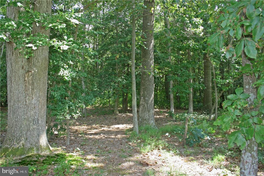 NONE AVAILABLE - Land