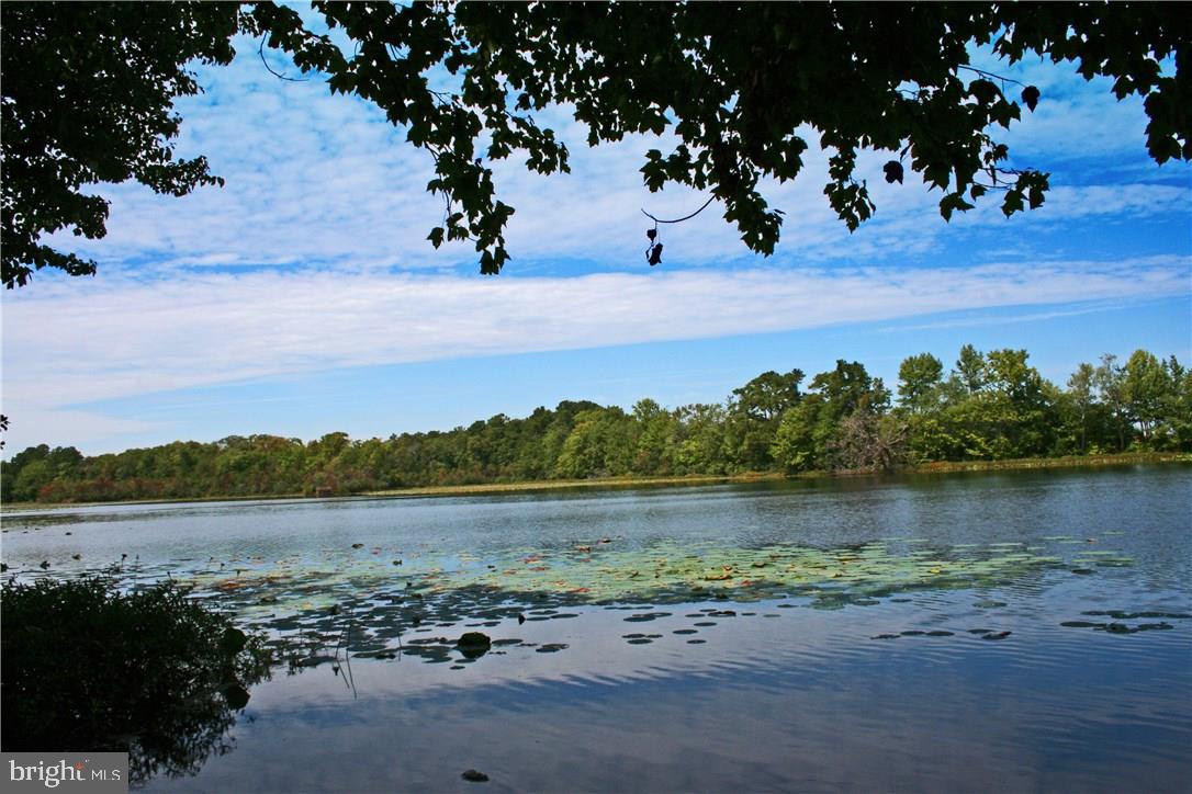 NONE AVAILABLE - Land