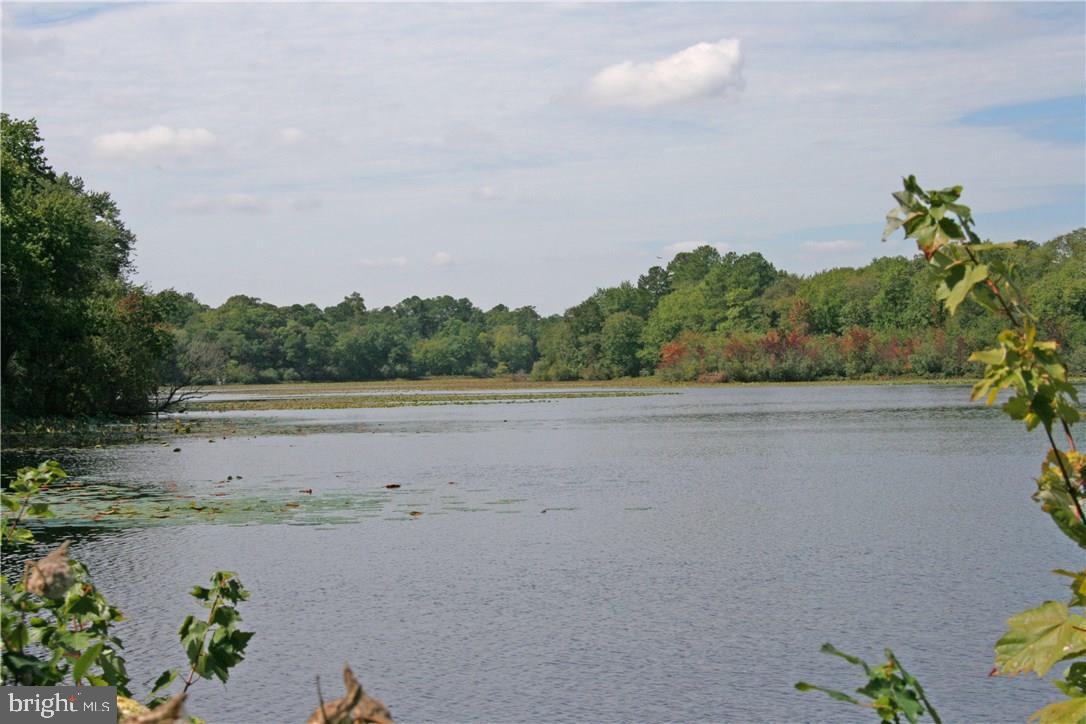 NONE AVAILABLE - Land