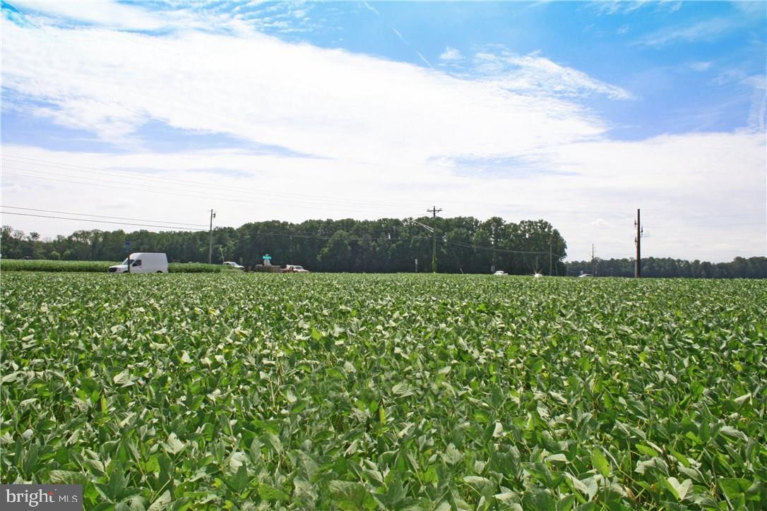 NONE AVAILABLE - Land