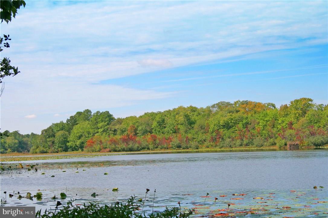 NONE AVAILABLE - Land