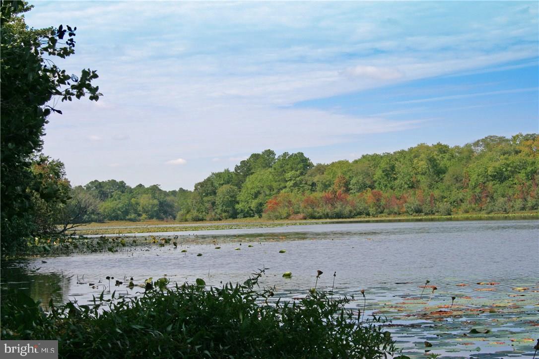 NONE AVAILABLE - Land