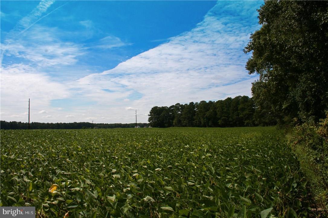 NONE AVAILABLE - Land