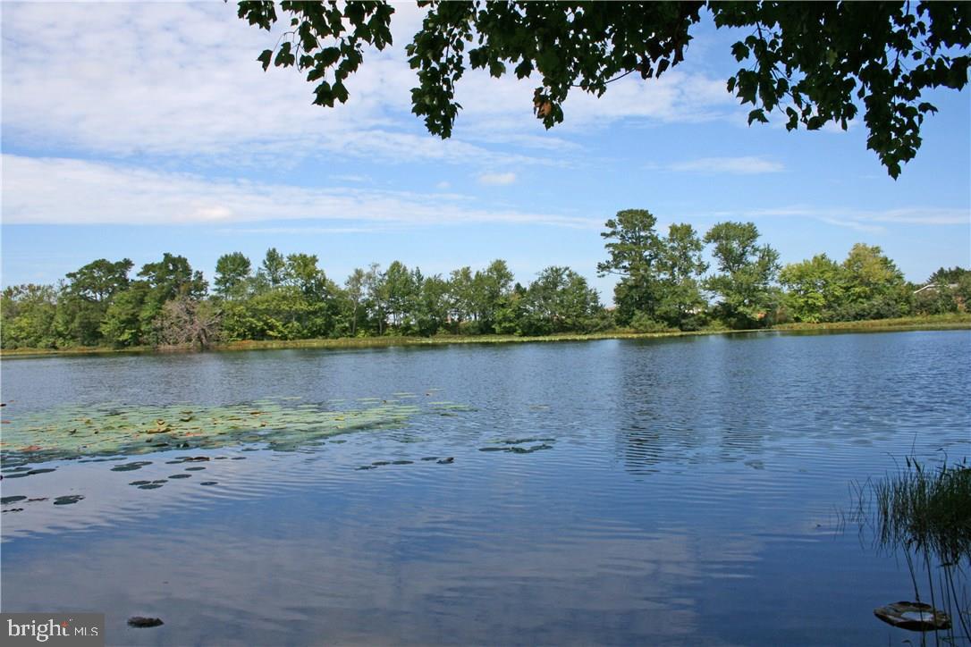 NONE AVAILABLE - Land