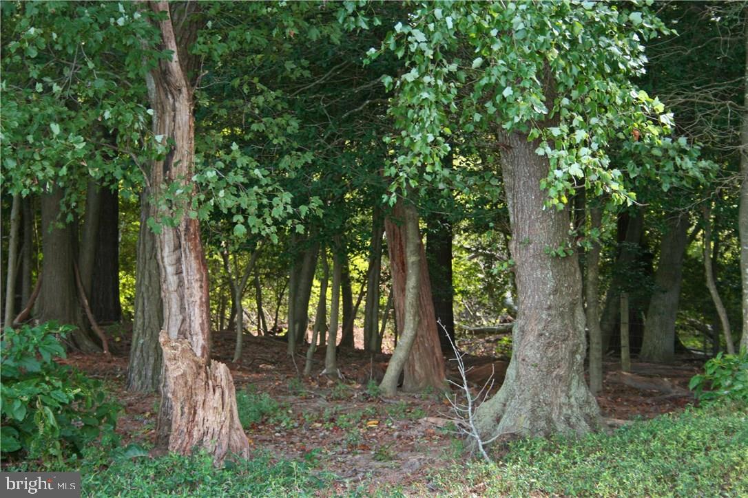 NONE AVAILABLE - Land