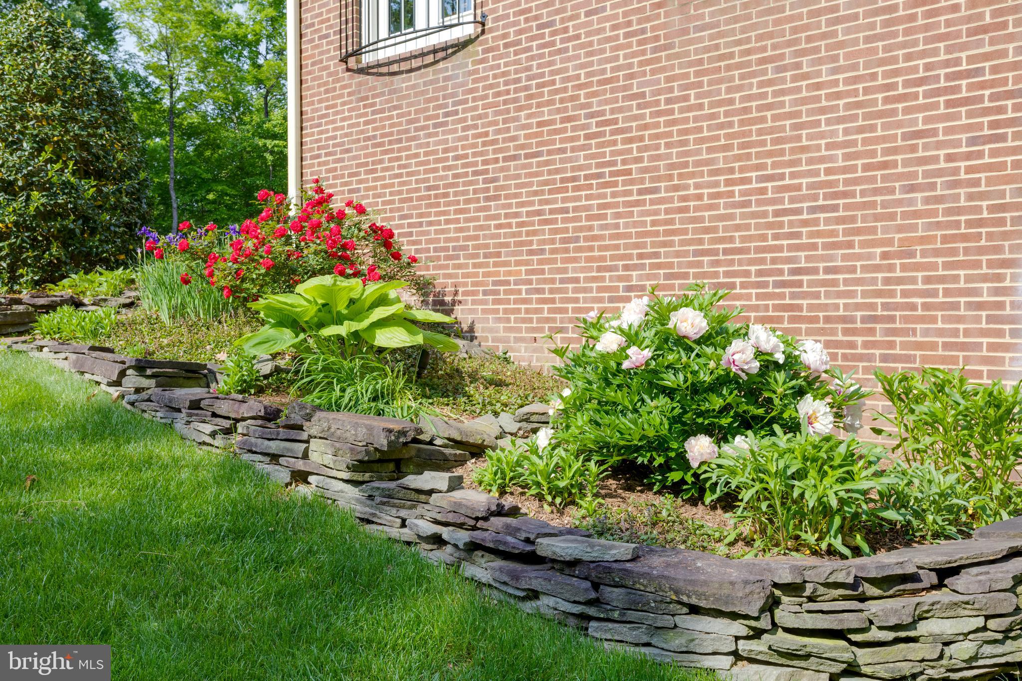 CLIFTON AT WOLF RUN - Residential