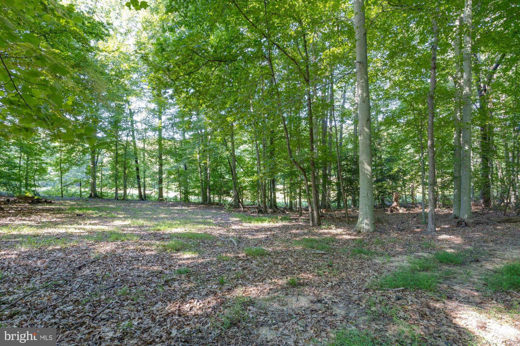 CLIFTON AT WOLF RUN - Residential