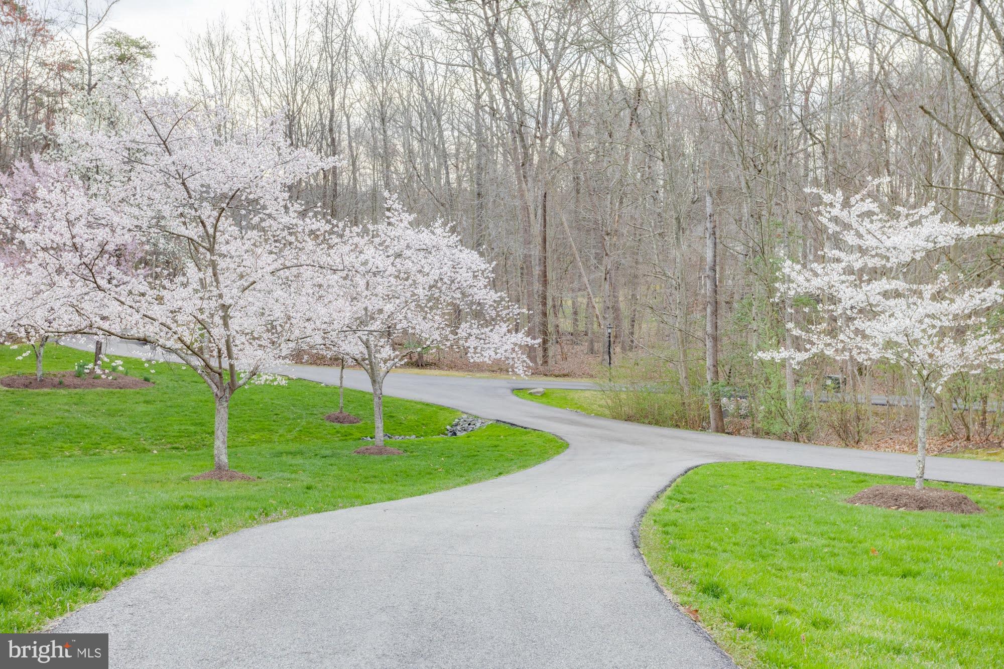 CLIFTON AT WOLF RUN - Residential