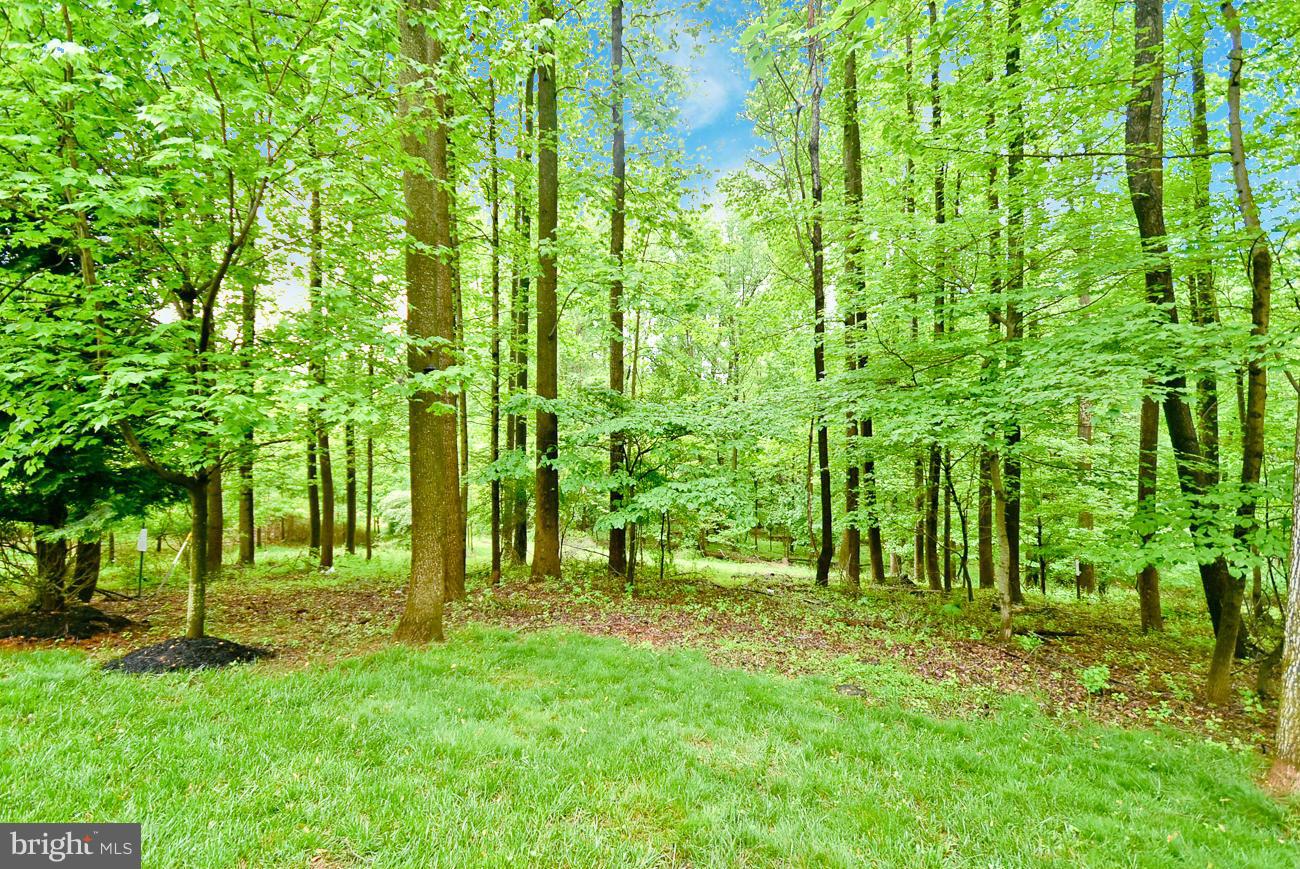 EMERSON - Residential