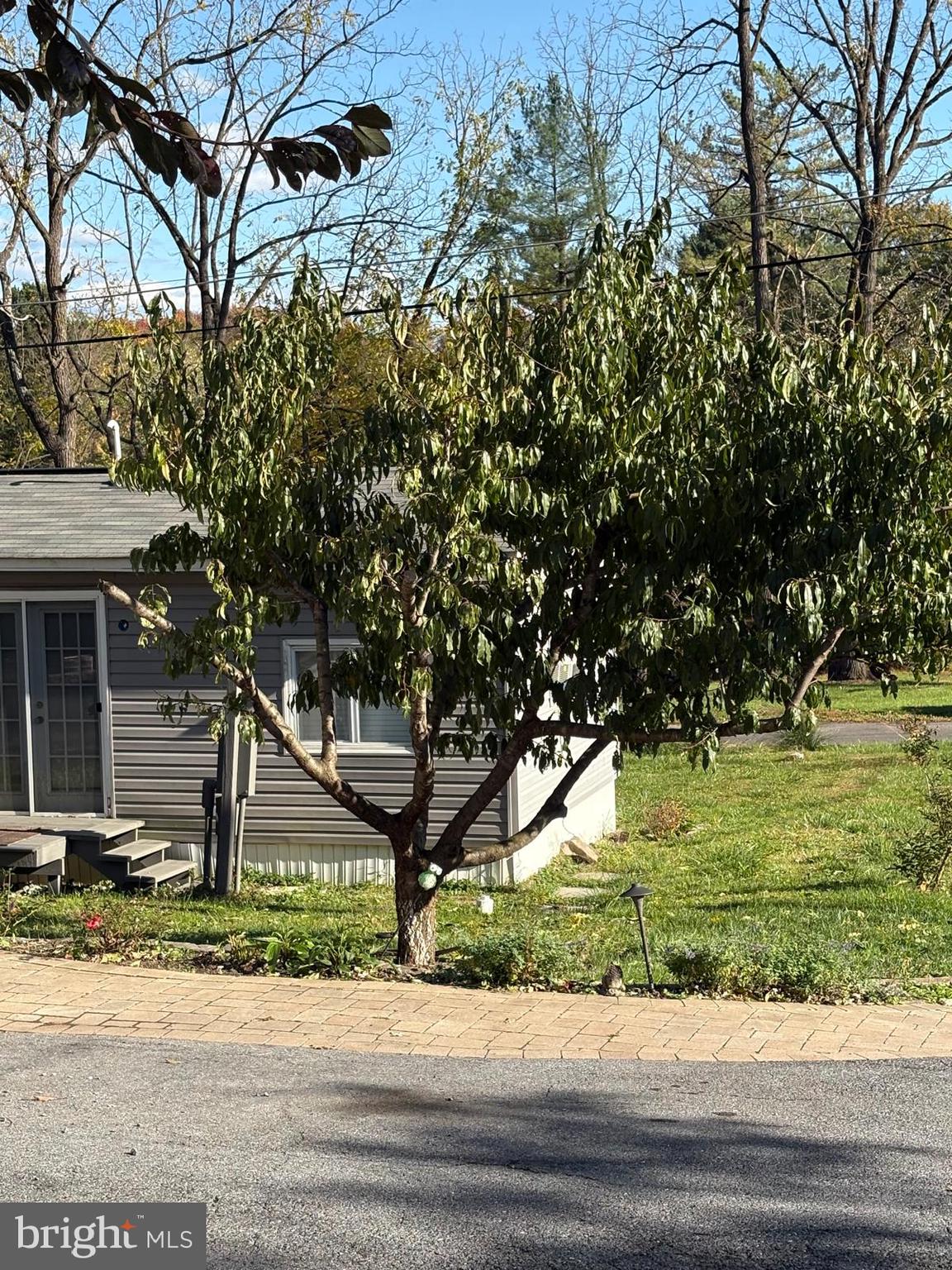 PHEASANT RIDGE - Residential