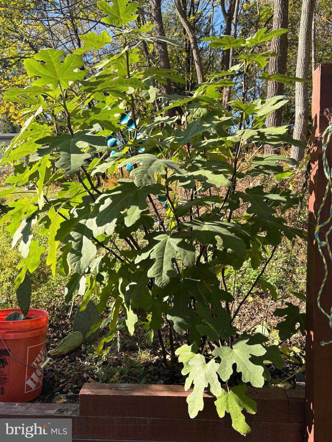 PHEASANT RIDGE - Residential