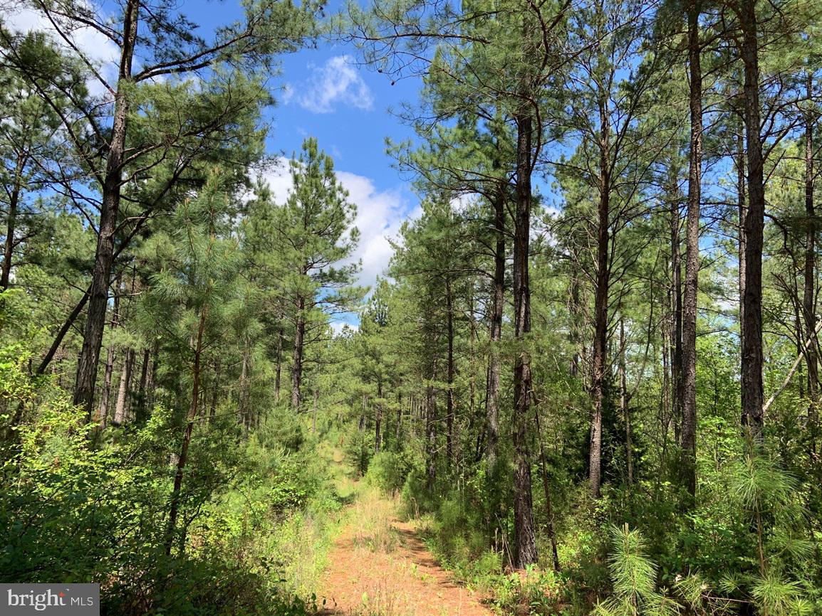 HUNTERS ROAD (RT. 736) (TRACT: BK1442-1)