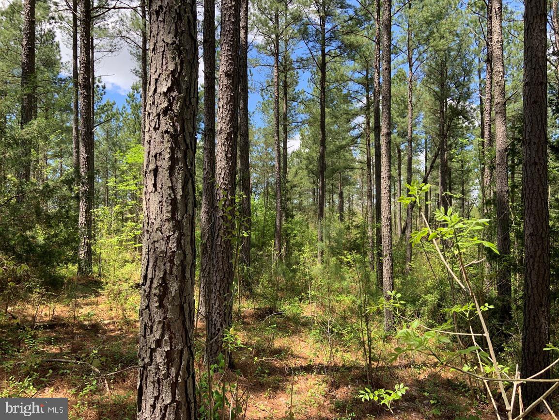 HUNTERS ROAD (RT. 736) (TRACT: BK1442-1)