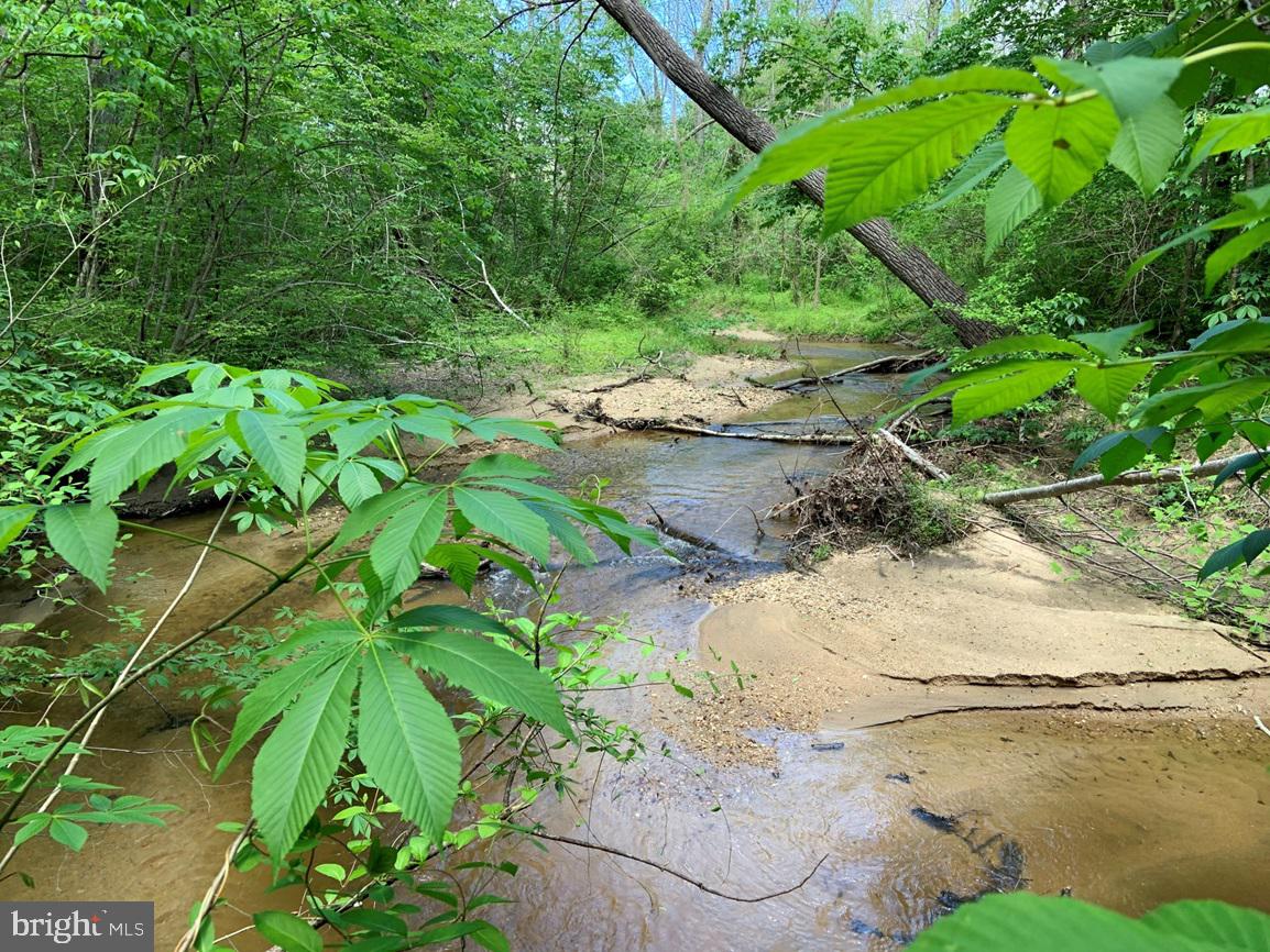 HUNTERS ROAD (RT. 736) (TRACT: BK1442-1)