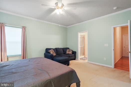 AVON BEND - Residential