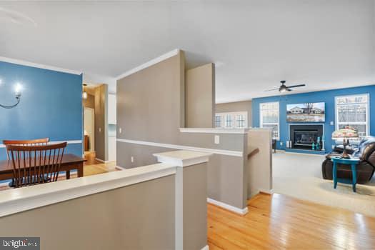 AVON BEND - Residential