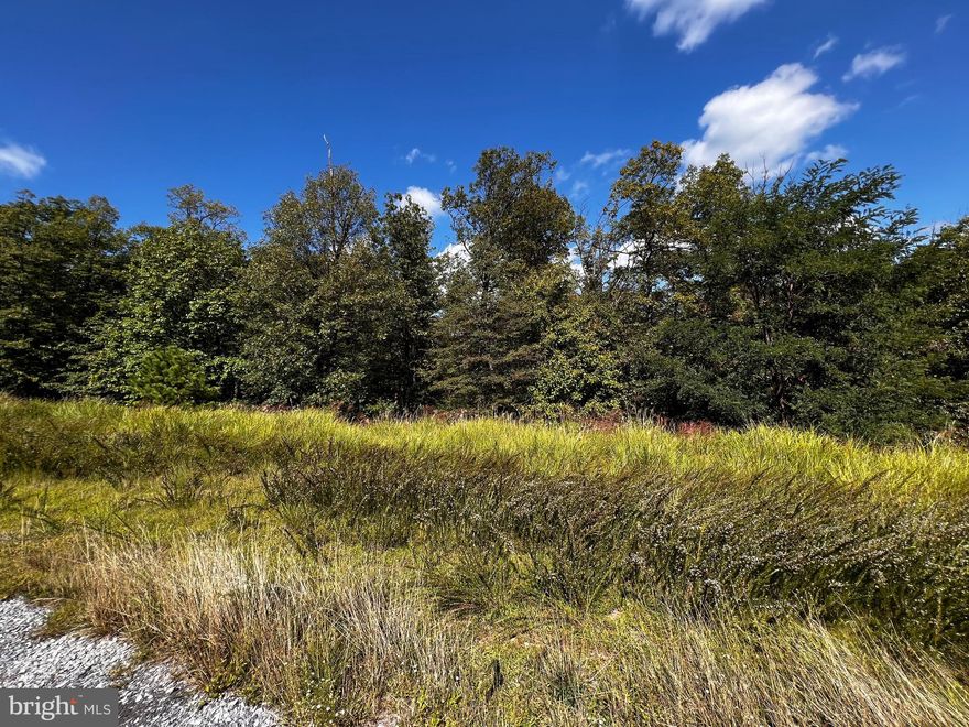 Beautiful 1.01 acre wooded homesite located on Toboggan Hill Trail with winter mountain views facing north Build your dream vacation or primary/retirement home at The Woods with underground utilities, public water and public sewer. Class A (Indoor/Outdoor/Golf membership available.