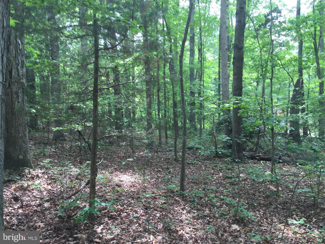 CARRIAGE HILLS - Residential