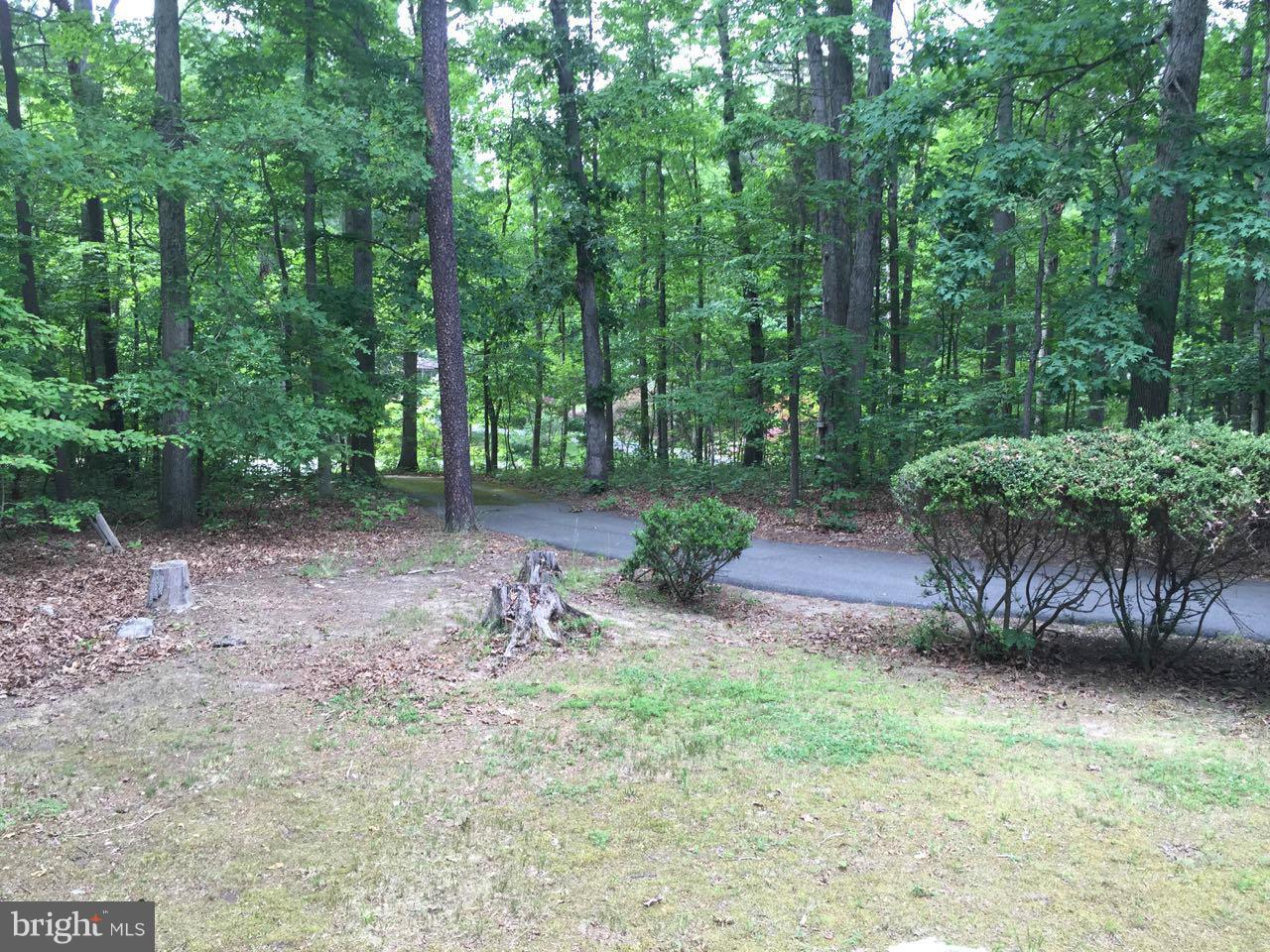 CARRIAGE HILLS - Residential