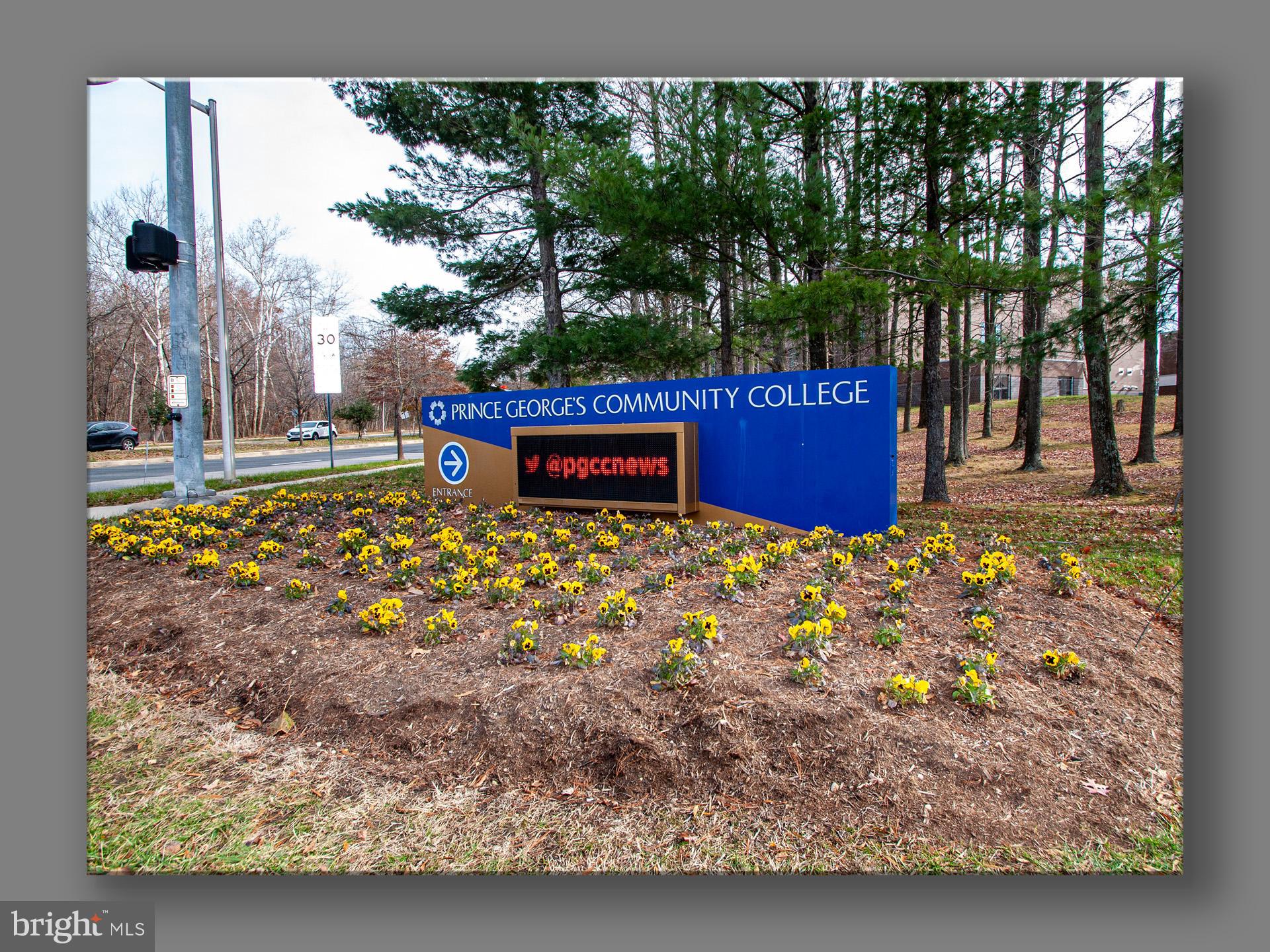 PINES CONDOMINIUM - Residential Lease