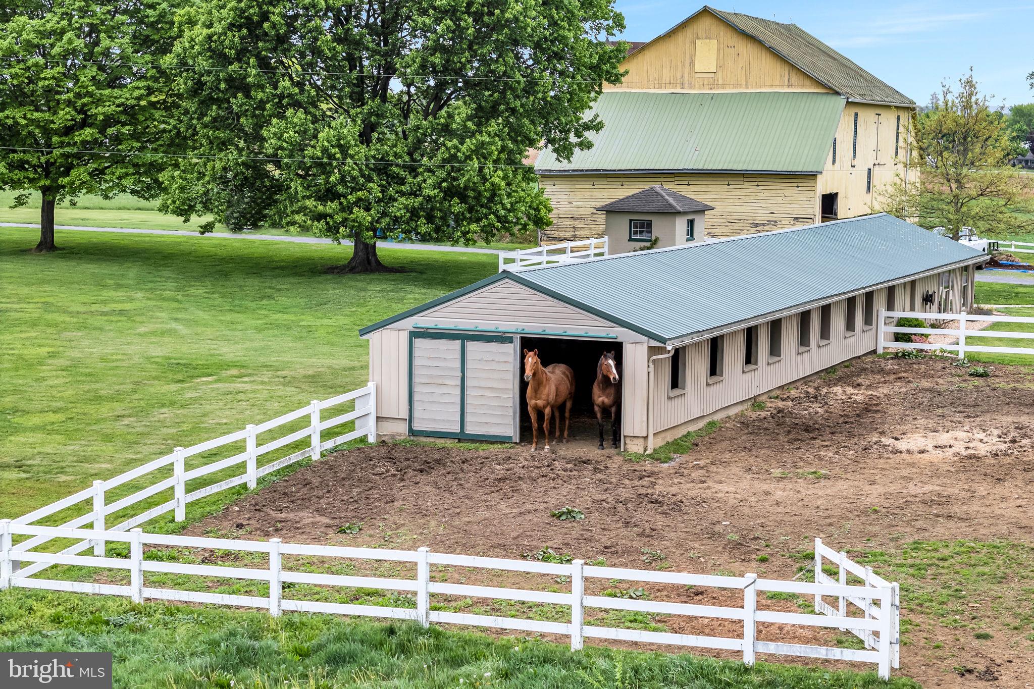 NONE AVAILABLE - Farm