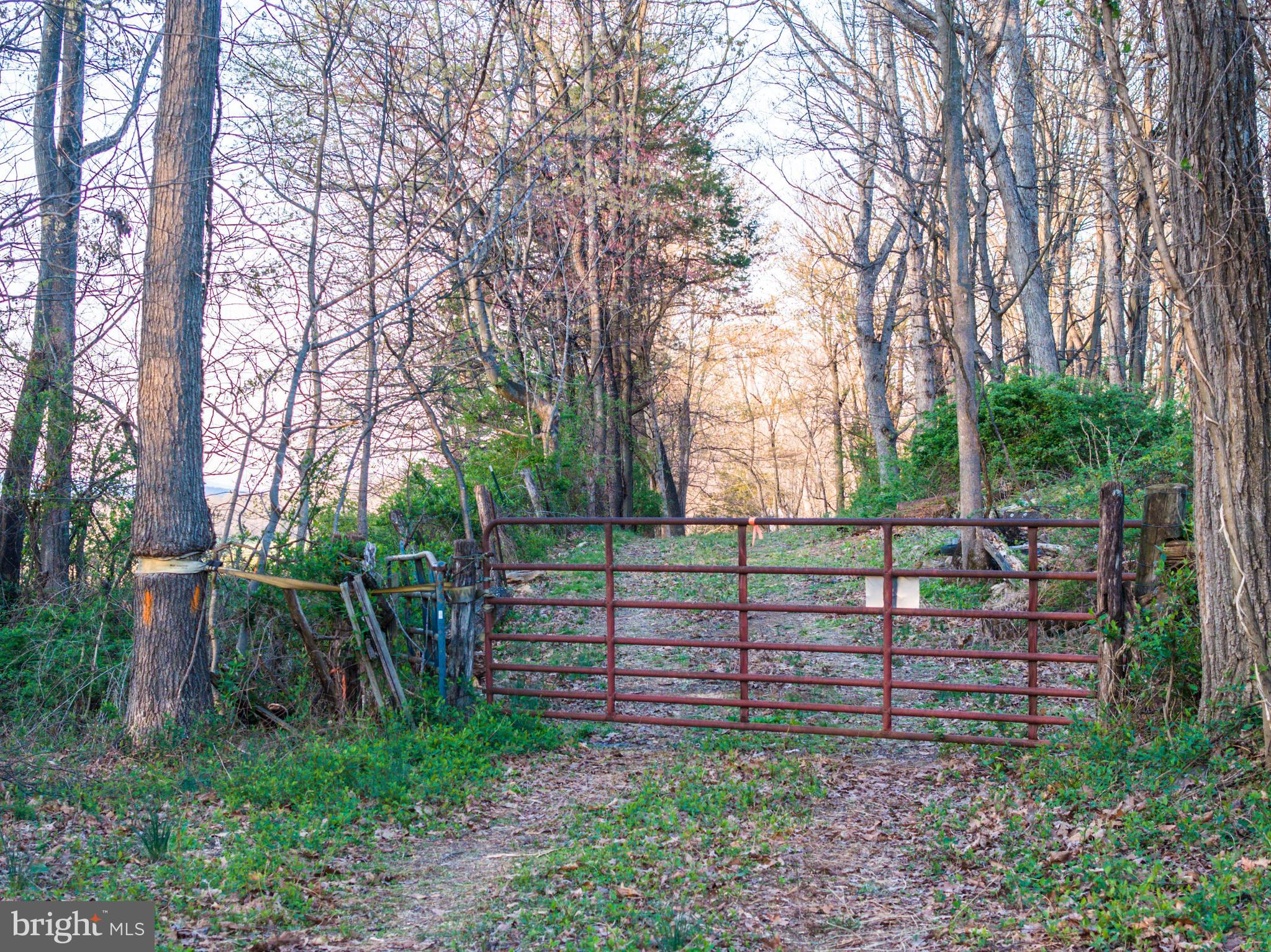 LACEY SPRING ROAD