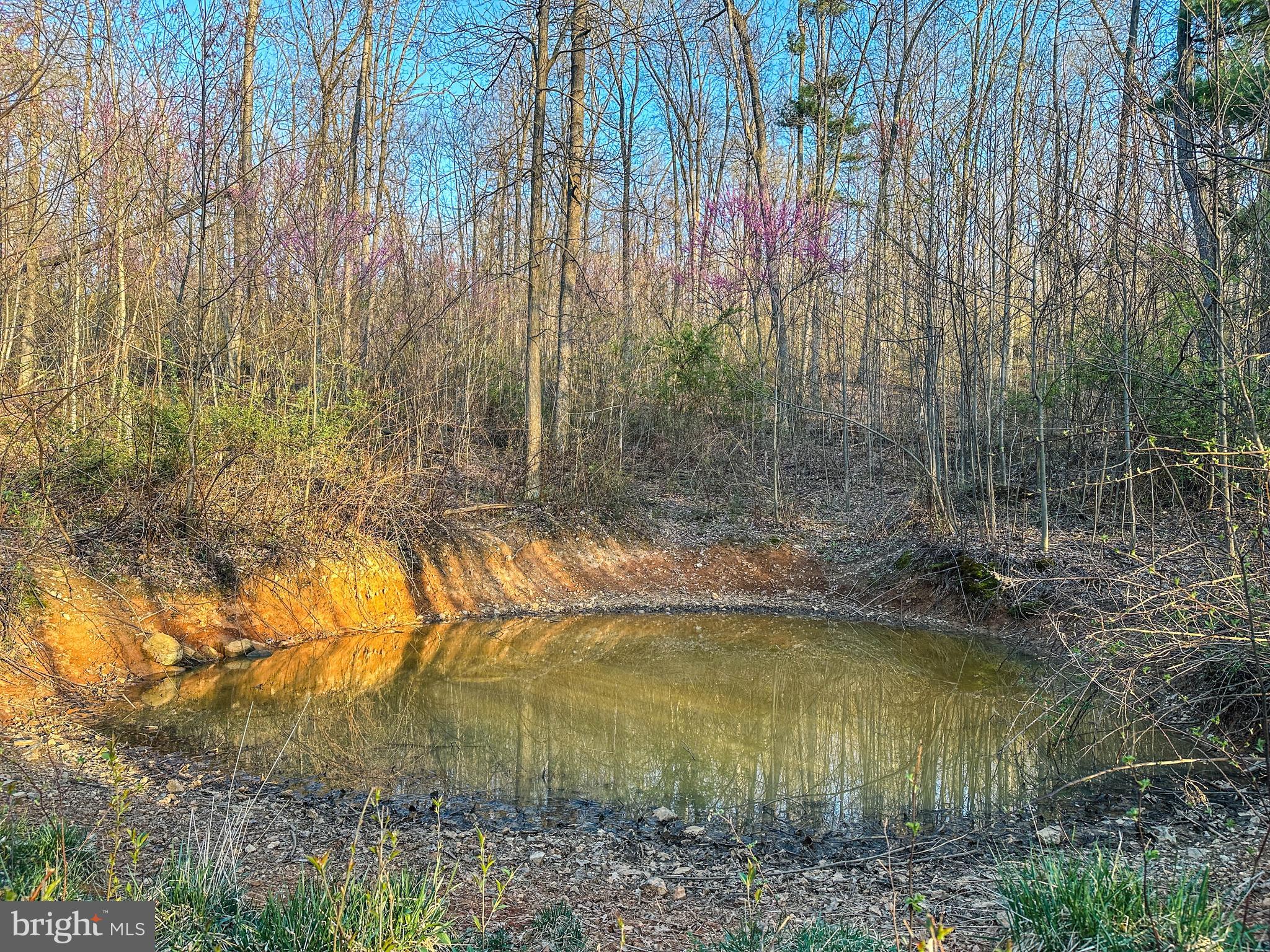 LACEY SPRING ROAD