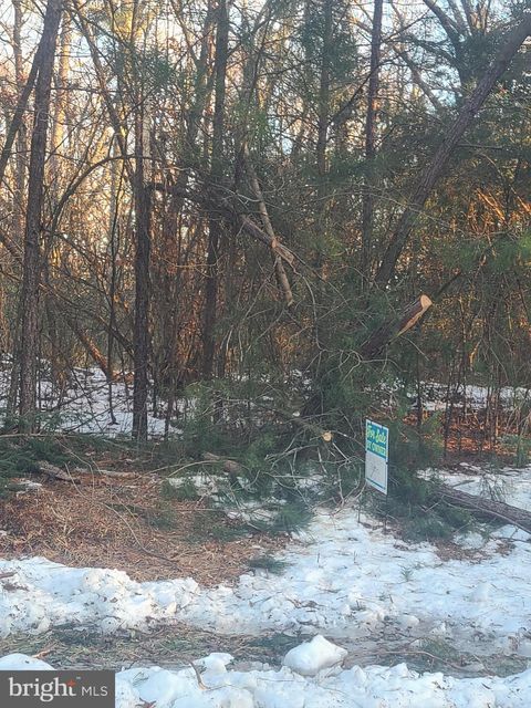 Vacant Land For Sale - Shiloh Church Road<br/> NEWBURG, MD 20664