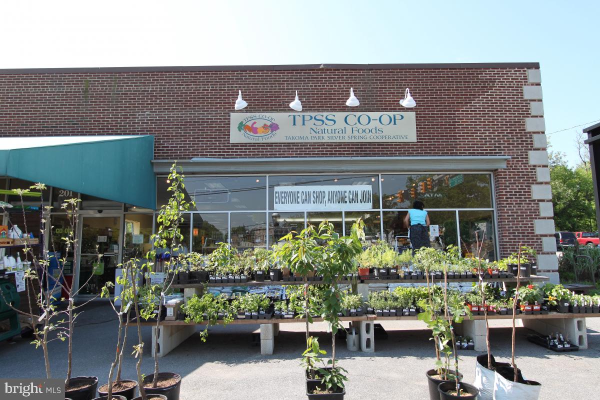 TAKOMA PARK - Residential