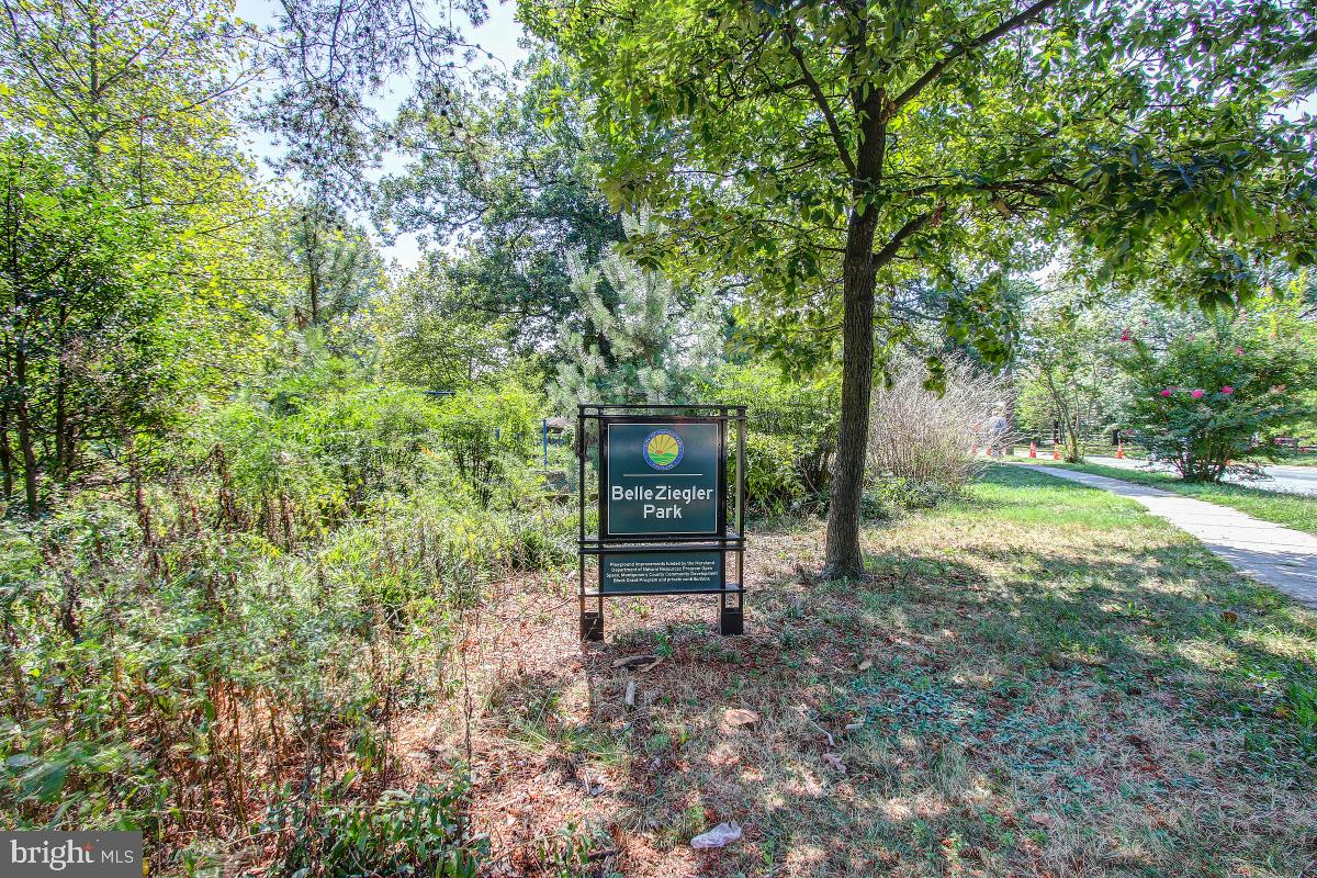 TAKOMA PARK - Residential