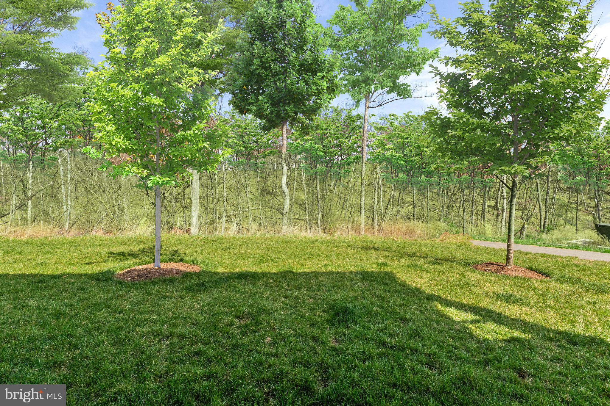 SHENANDOAH - Residential