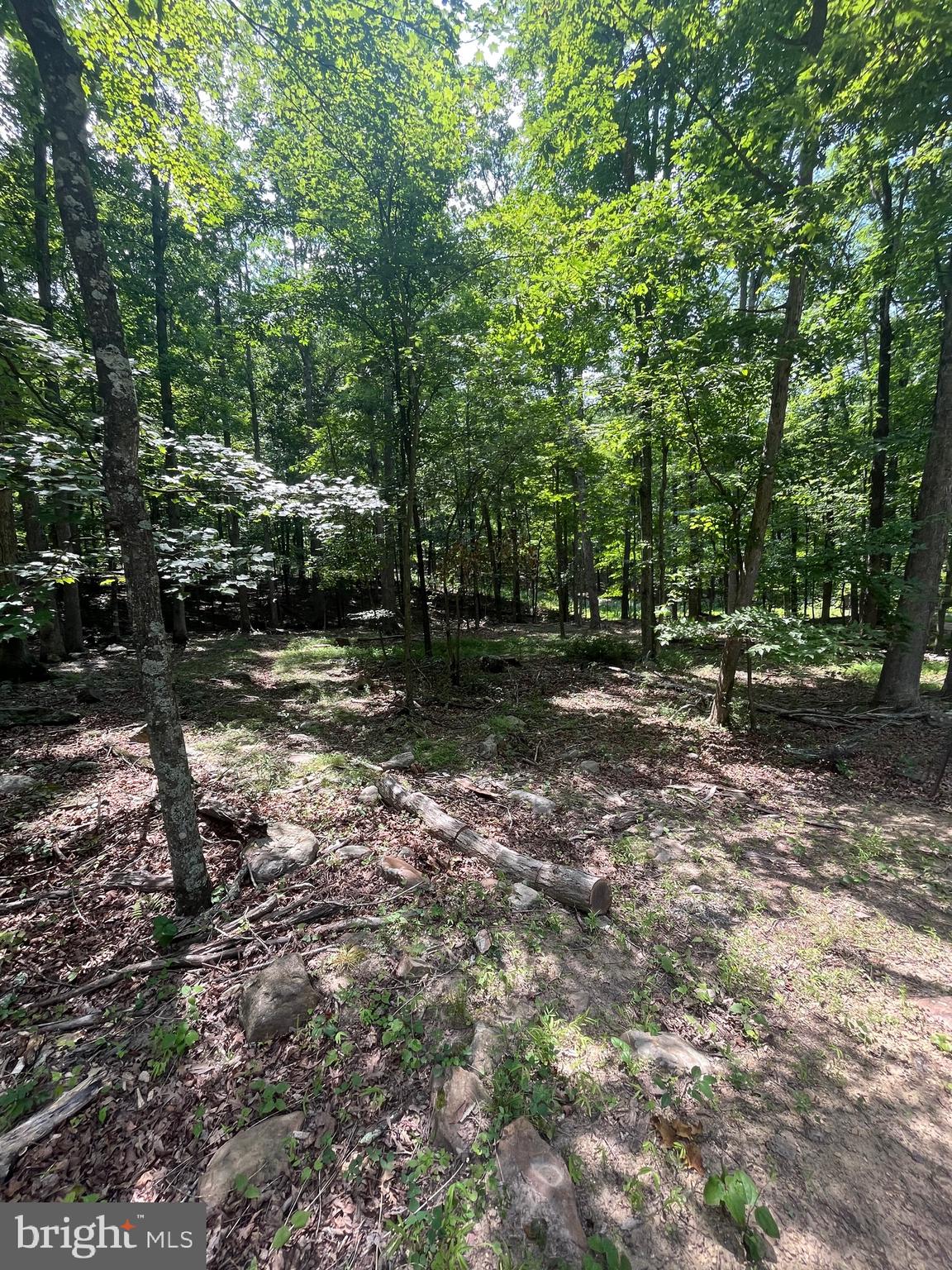 83 SENECA RIDGE ROAD