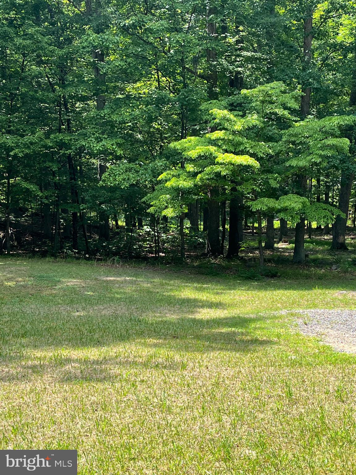83 SENECA RIDGE ROAD