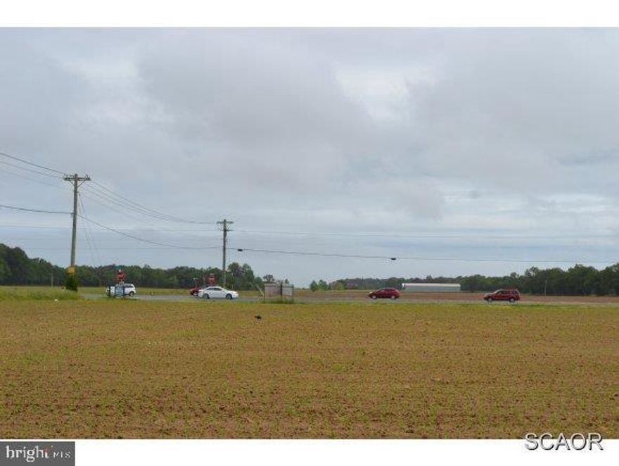 Valuable Corner Commerical Property Coastal Hwy RT 1 & 88 (Cave Neck Rd), 879 feet Hwy frontage / 4.7 acres Zoned B-1. Only Commercial property between FIVE POINTS Lewes & Milford w/Public Water & Sewer (18.8 EDU's). Zoned B-1 for a Convenience/Gas Store, Restaurant, Bank, Pharmacy, etc
