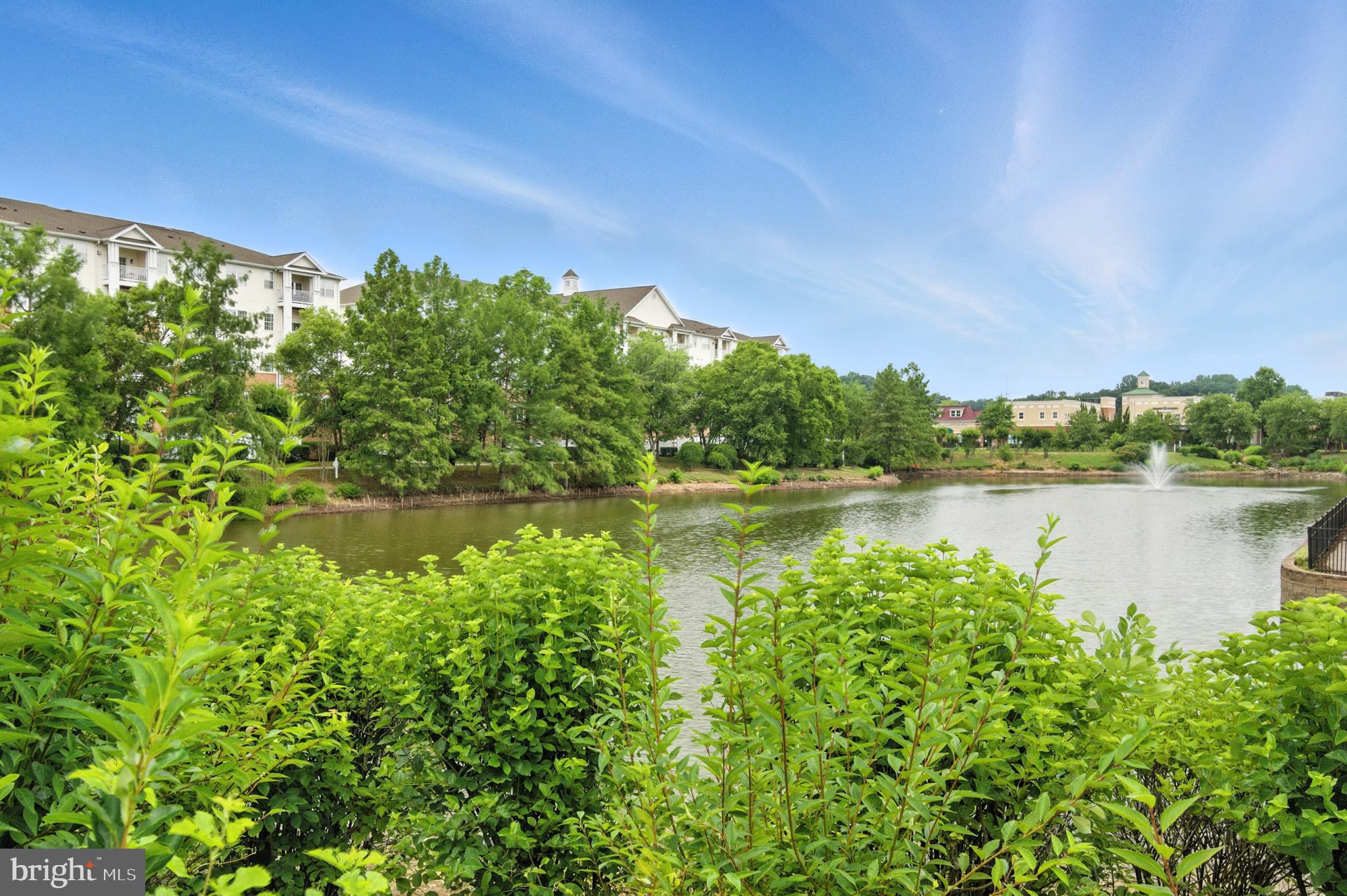 VILLAGE AT WAUGH CHAPEL - Residential