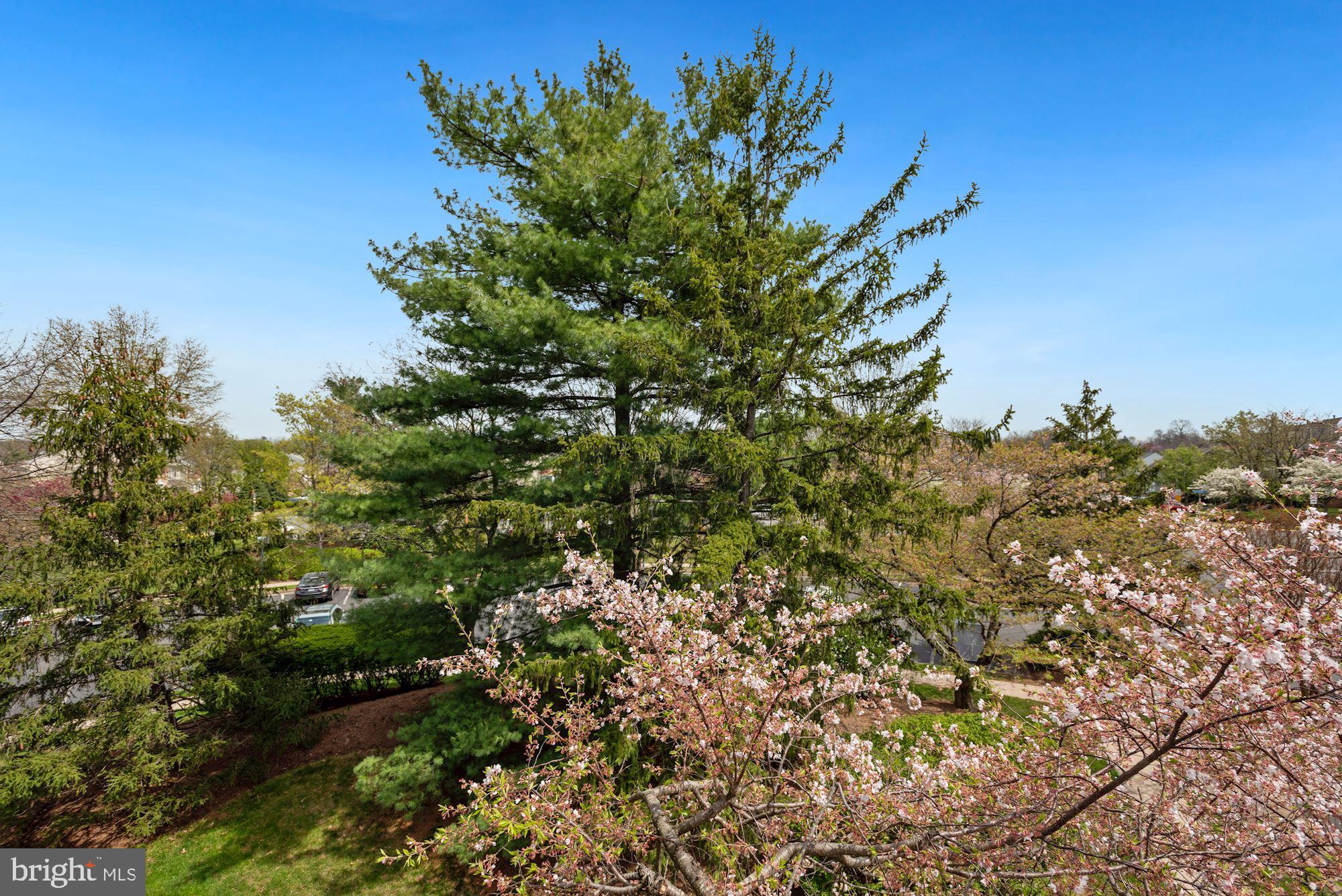 WESTMAREN CONDO - Residential