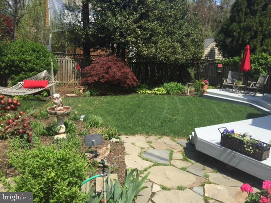 CHEVY CHASE - Residential