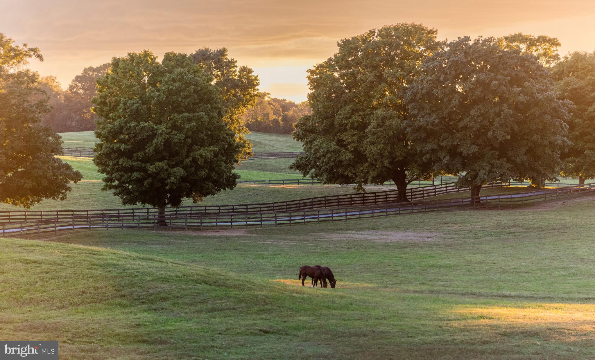 RESIDENCES AT SALAMANDER - Residential