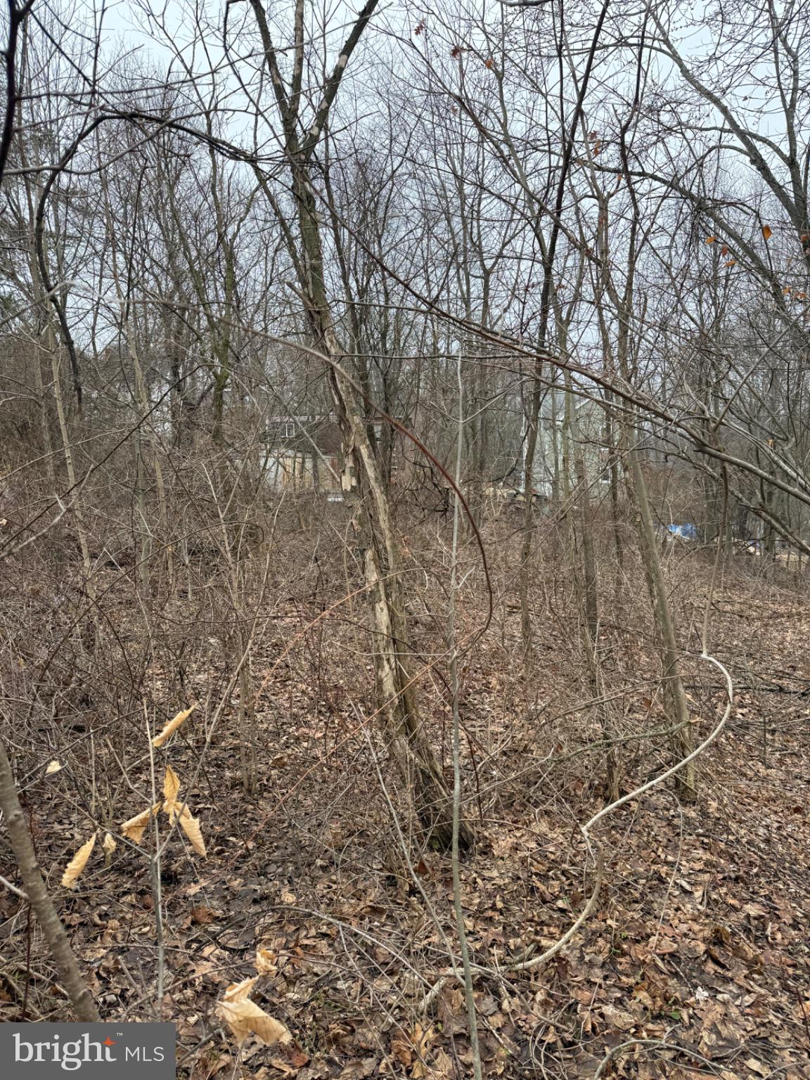 Photo 1 of 25 — W PINE STREET, COAL TWP, PA 17866