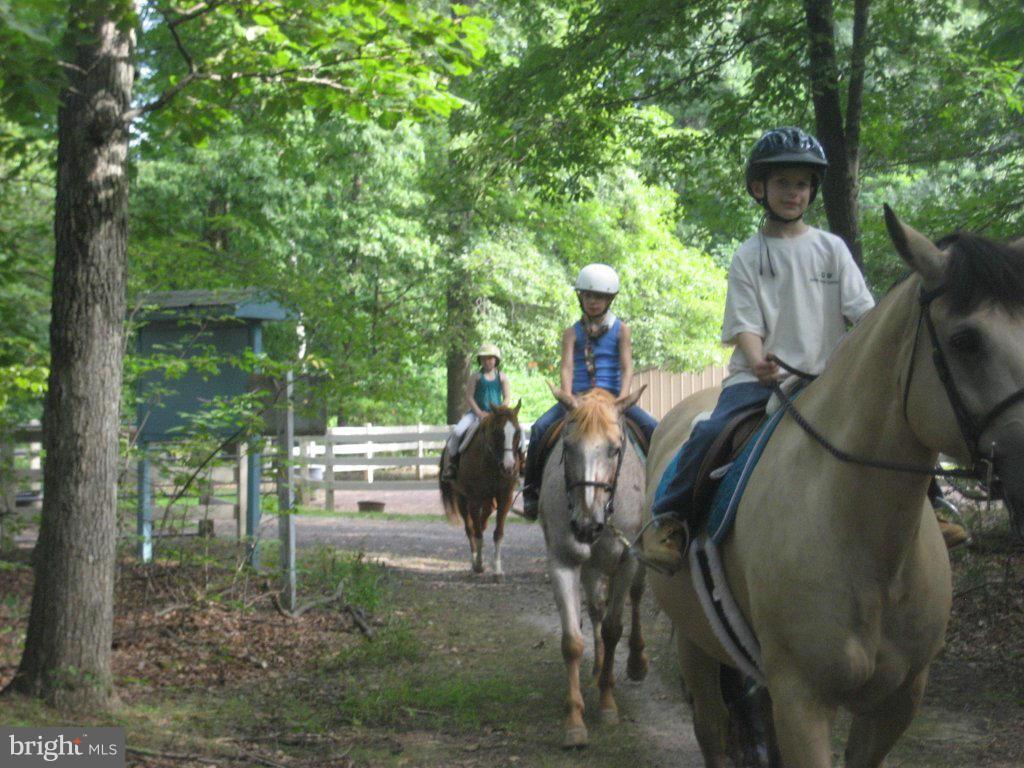 LAKE OF THE WOODS - Residential