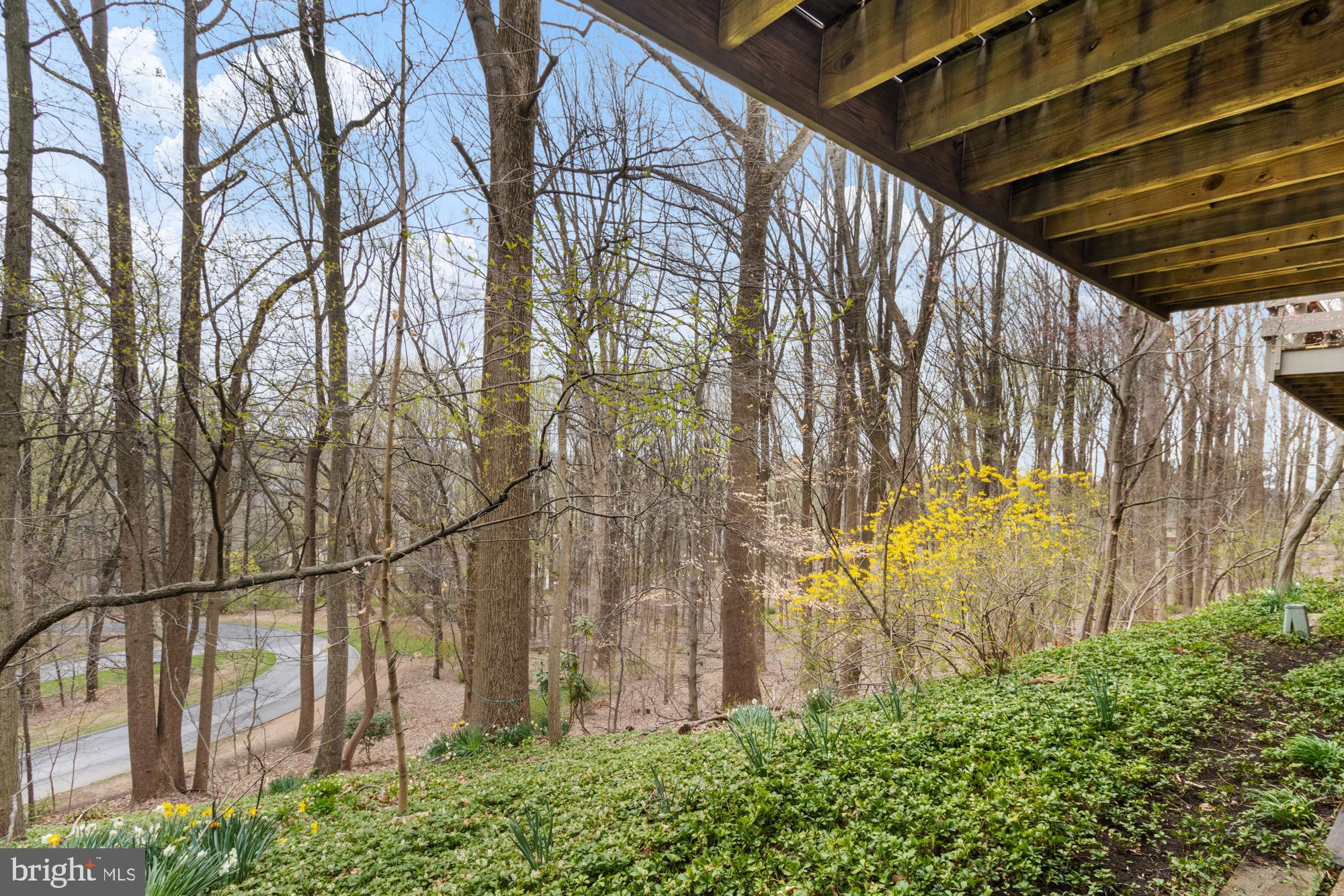 BEECHES - Residential