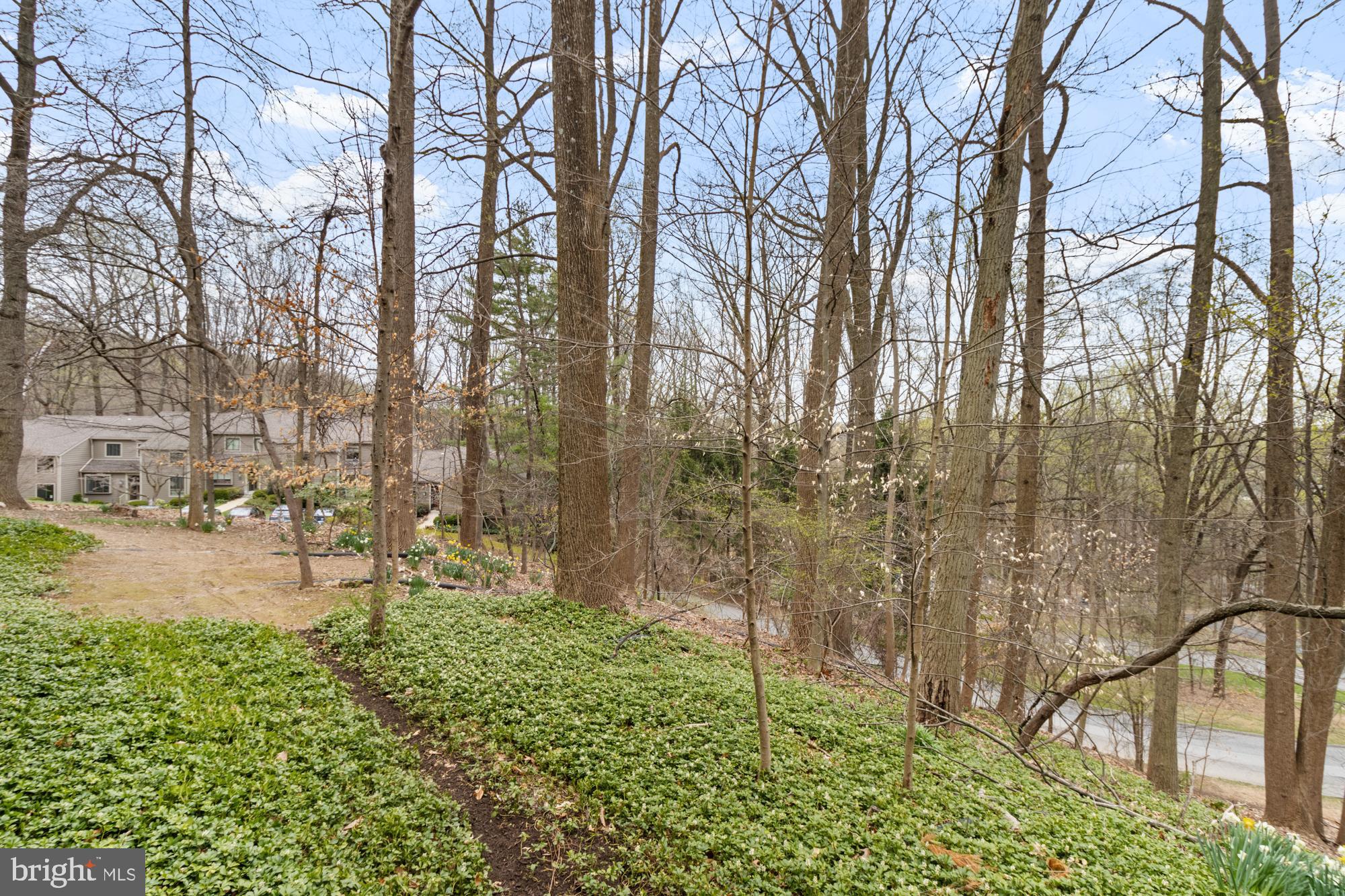 BEECHES - Residential