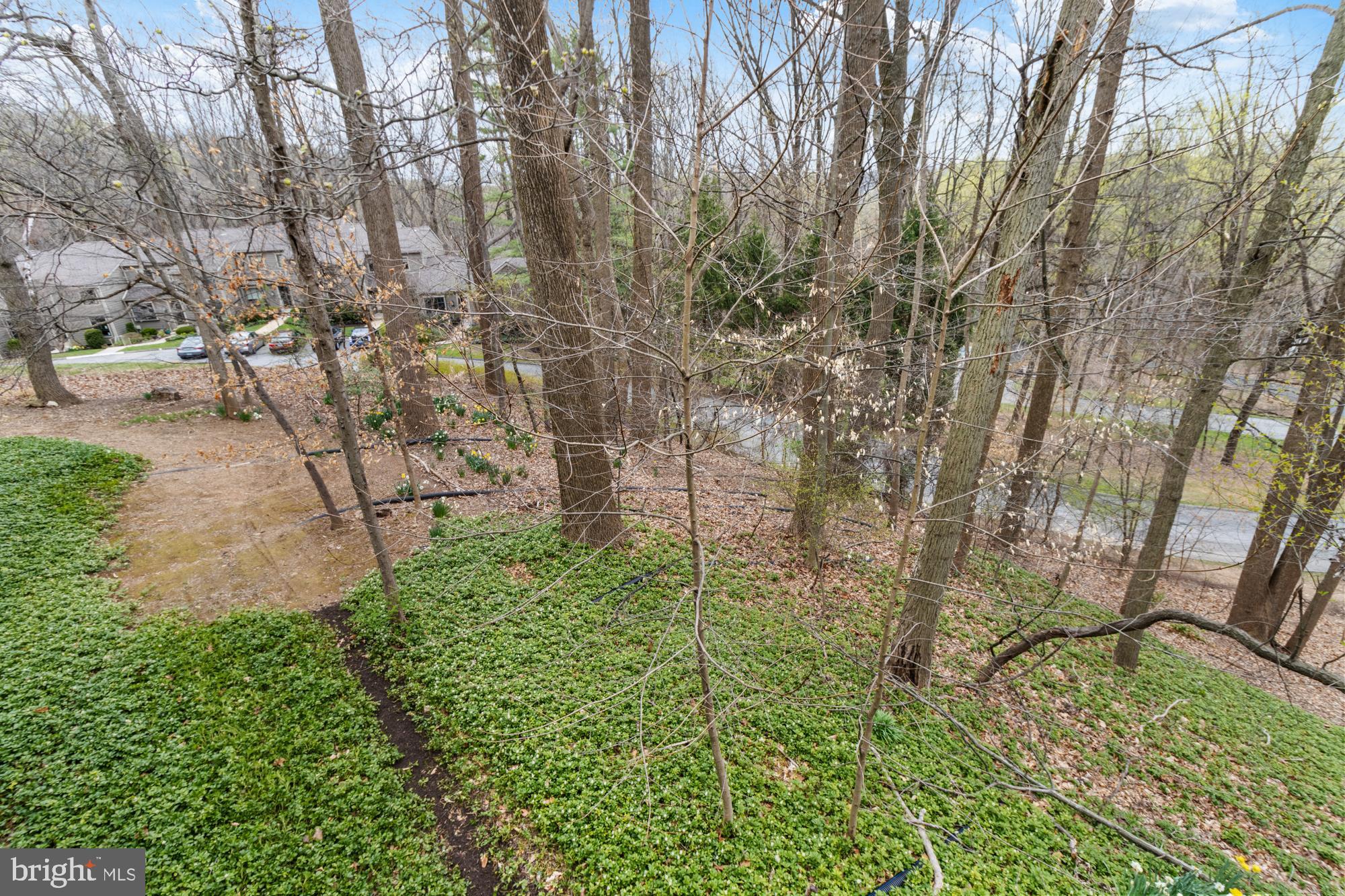 BEECHES - Residential