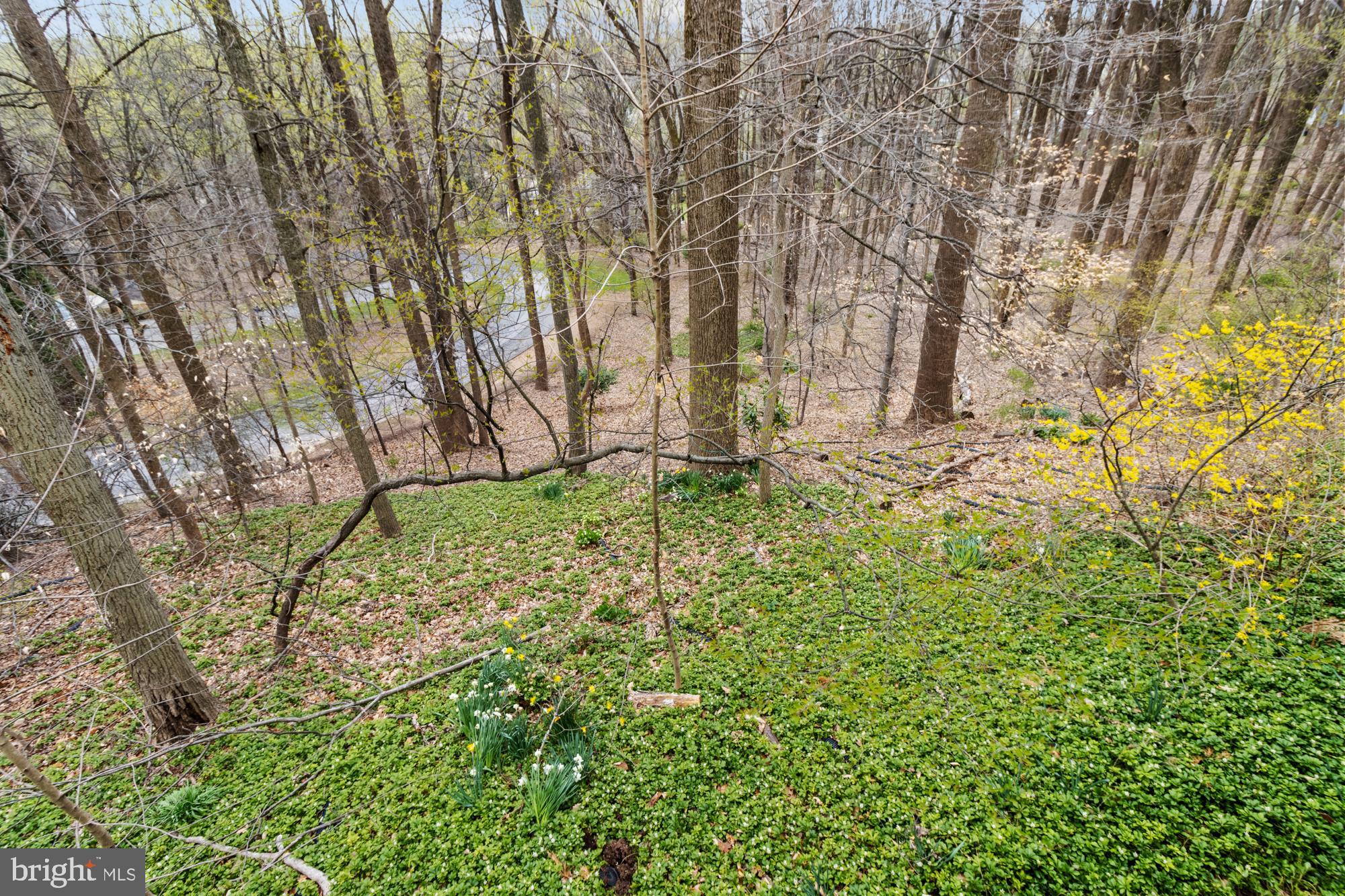 BEECHES - Residential