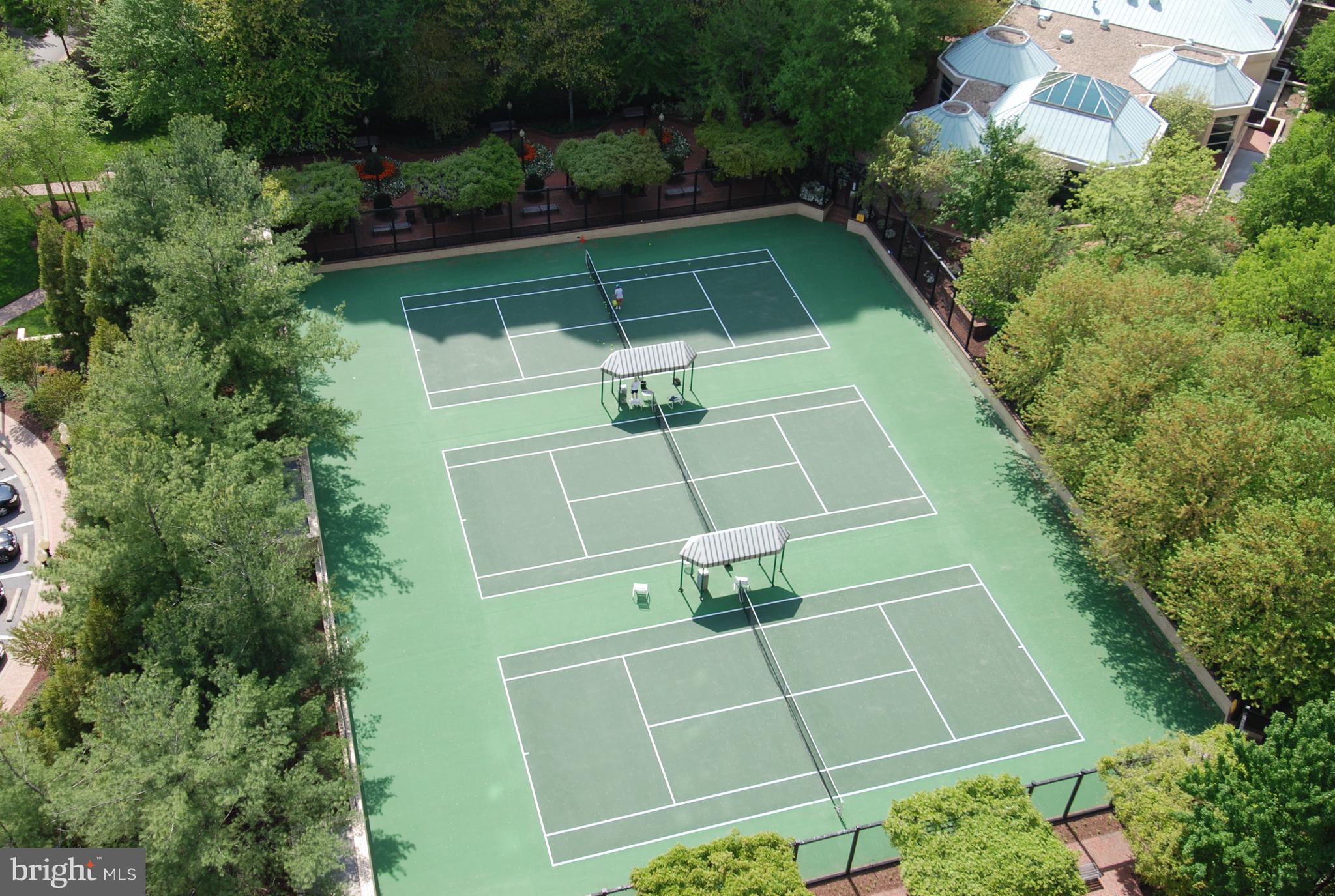 SOMERSET HOUSE 2 - Residential