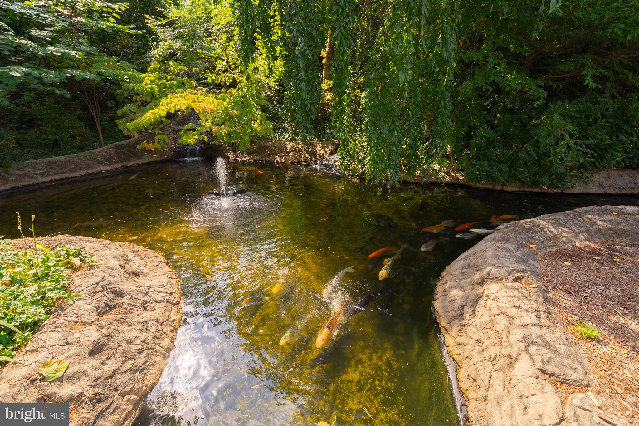 COLONIES AT MCLEAN - Residential