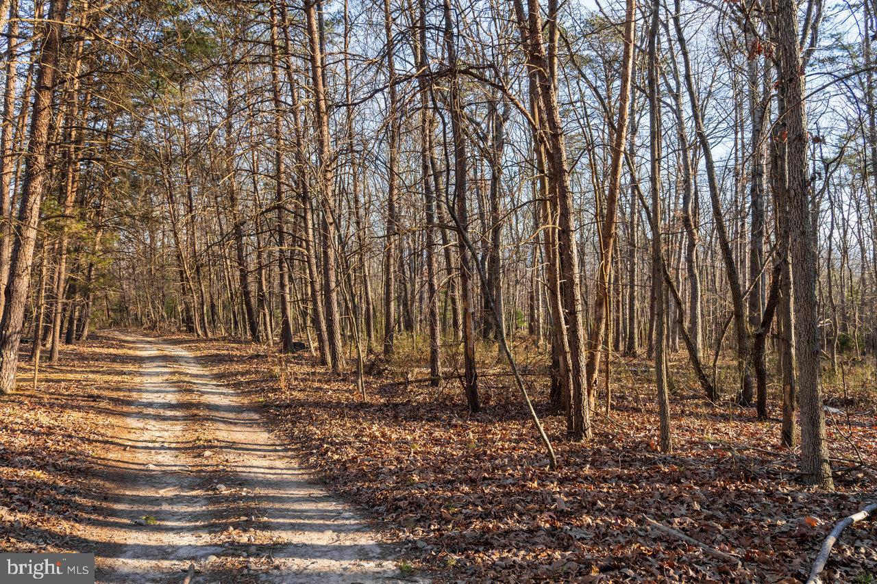 EGYPT BEND ESTATES - Land