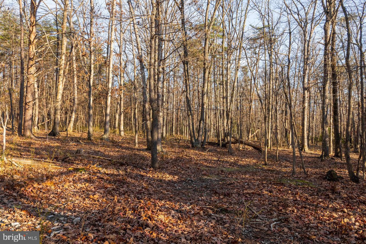 EGYPT BEND ESTATES - Land