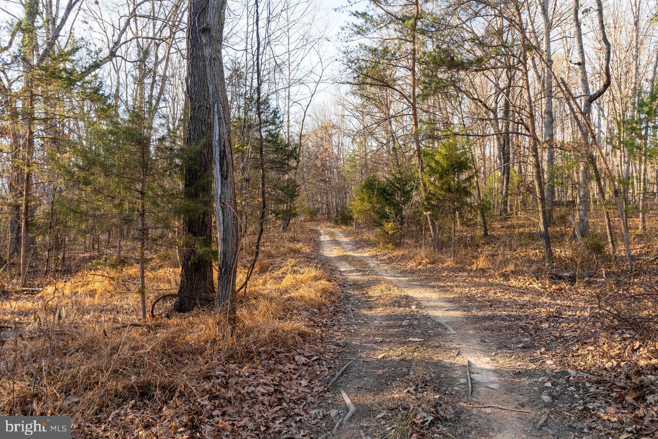 EGYPT BEND ESTATES - Land